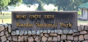 Kanha National Park Safari