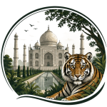 31 Jungle Tours