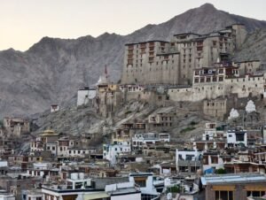 Leh Heritage & Snow Leopard Conservation