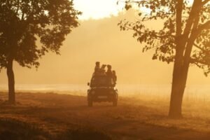 Pench Tiger Reserve Safari